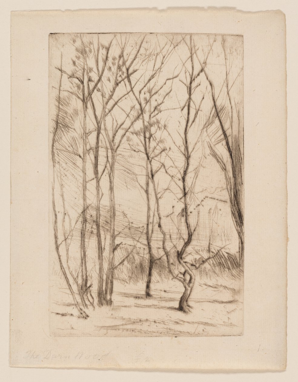 Der Dammwald von James Abbott McNeill Whistler