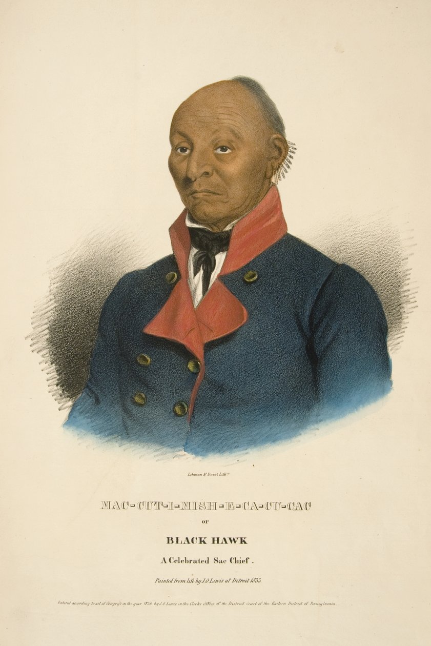 Mac-cut-i-mish-e-ca-cu-cac oder Schwarzer Falke von James Otto Lewis