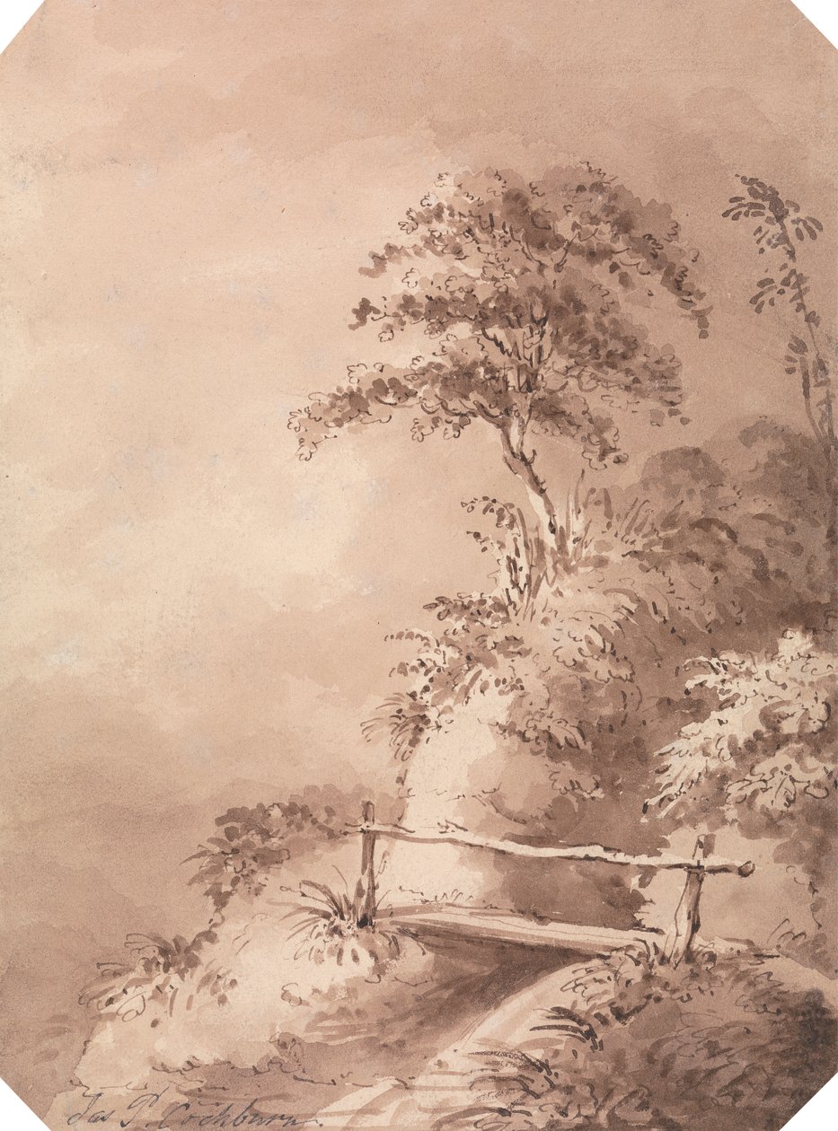 Fußgängerbrücke über hügeligen Bach von James Pattison Cockburn