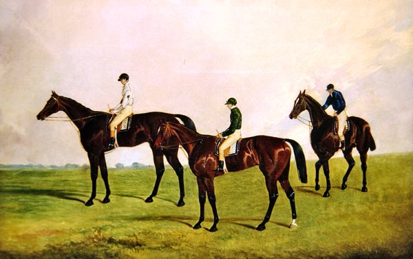 Rennpferde mit Jockeys von James Pollard
