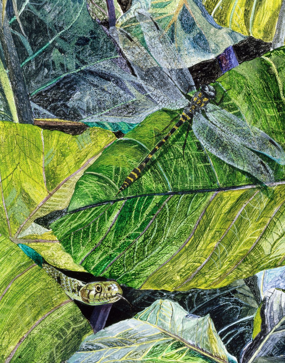 Wasserschlange und Libelle, 1971 von James Reeve