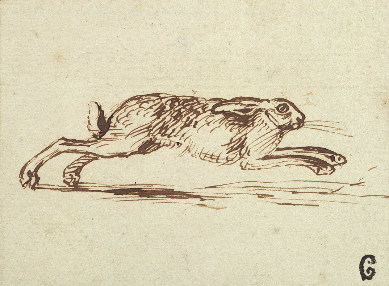 Ein Hase rennt, mit angelegten Ohren von James Seymour