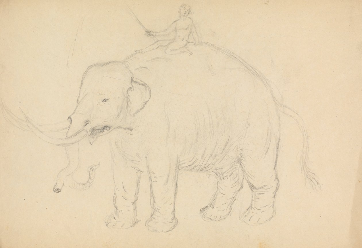 Elefant mit Reiter von James Sowerby