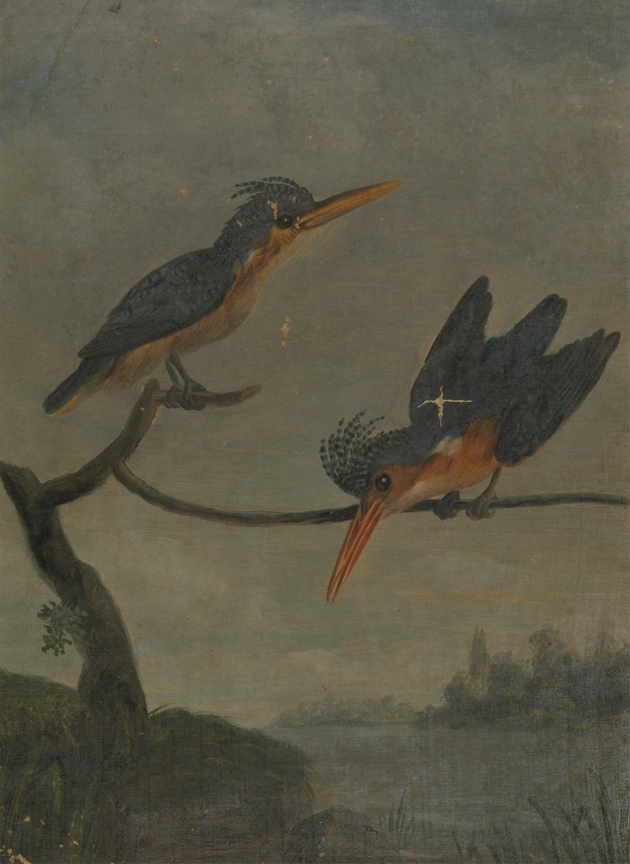 Zwei Eisvögel an einem See von James Sowerby