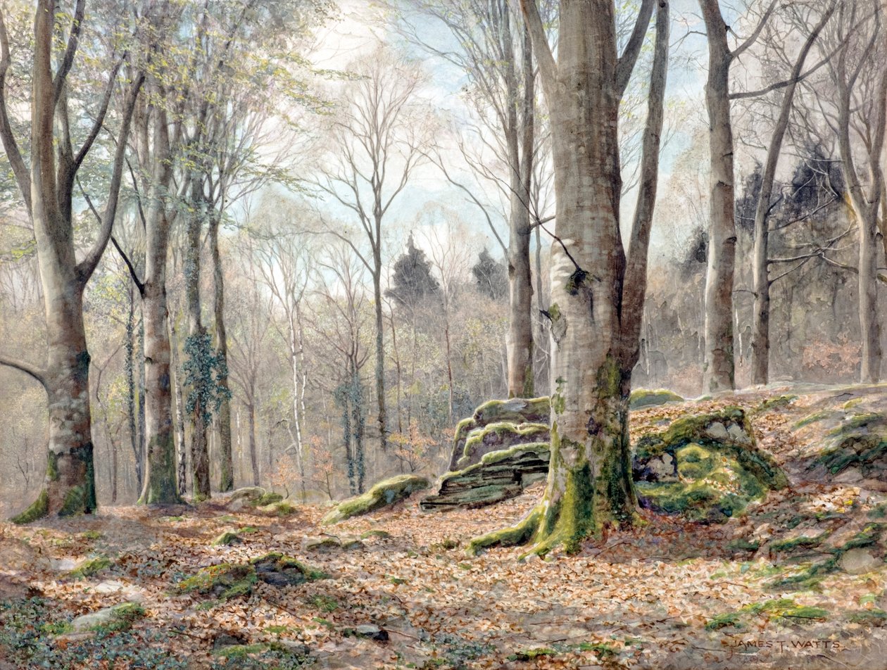 Ein walisischer Wald von James Thomas Watts