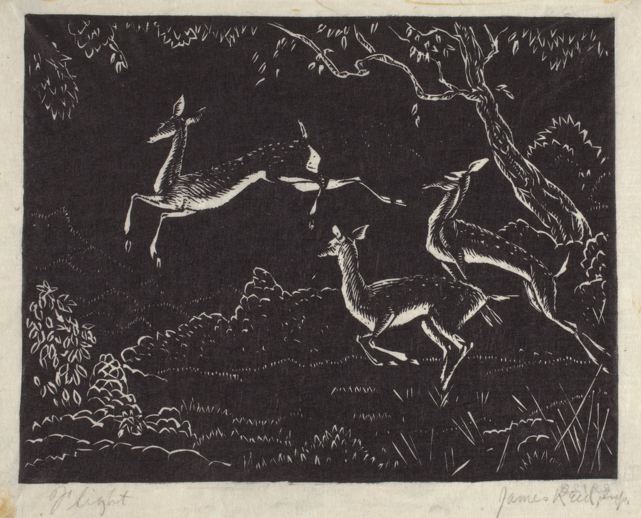 Flucht von James W. Reid