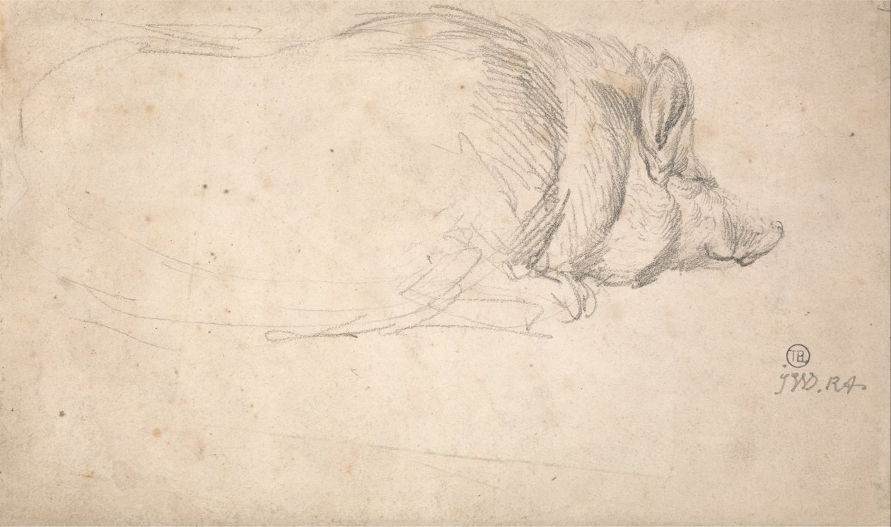 Ein schlafendes Schwein von James Ward