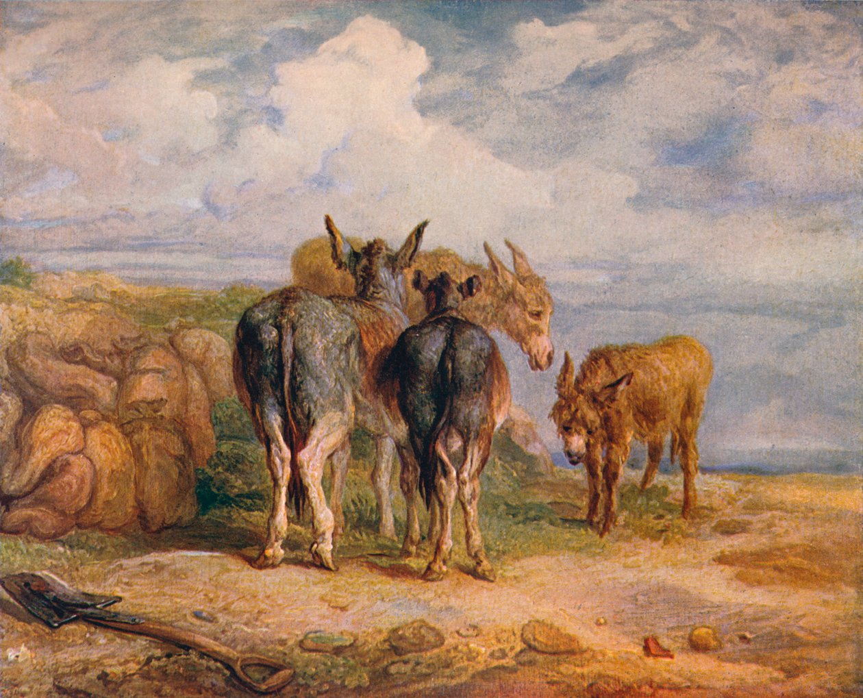 Esel, ca. 1831-1904 von James Ward