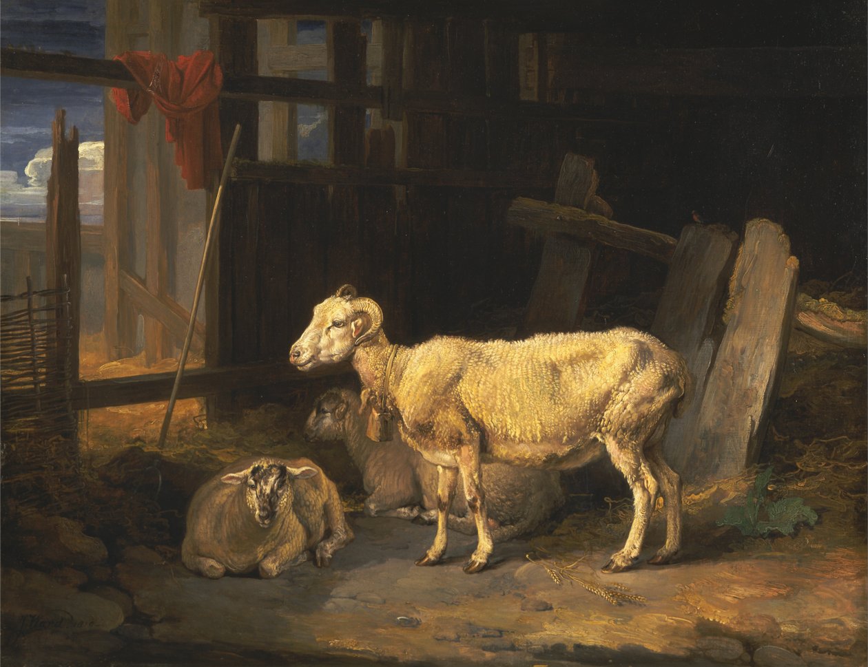 Heideschaf und Lämmer von James Ward