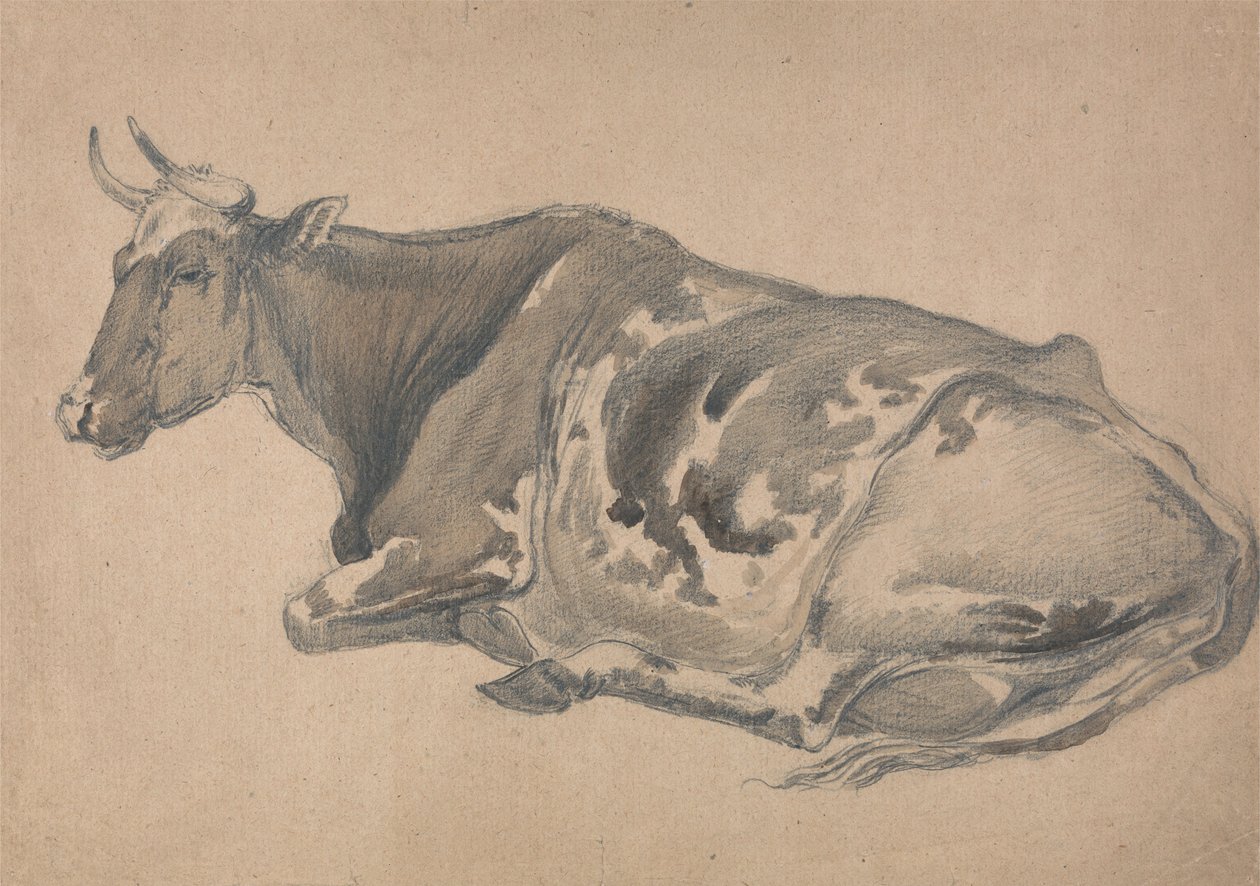 Studie einer Kuh von James Ward