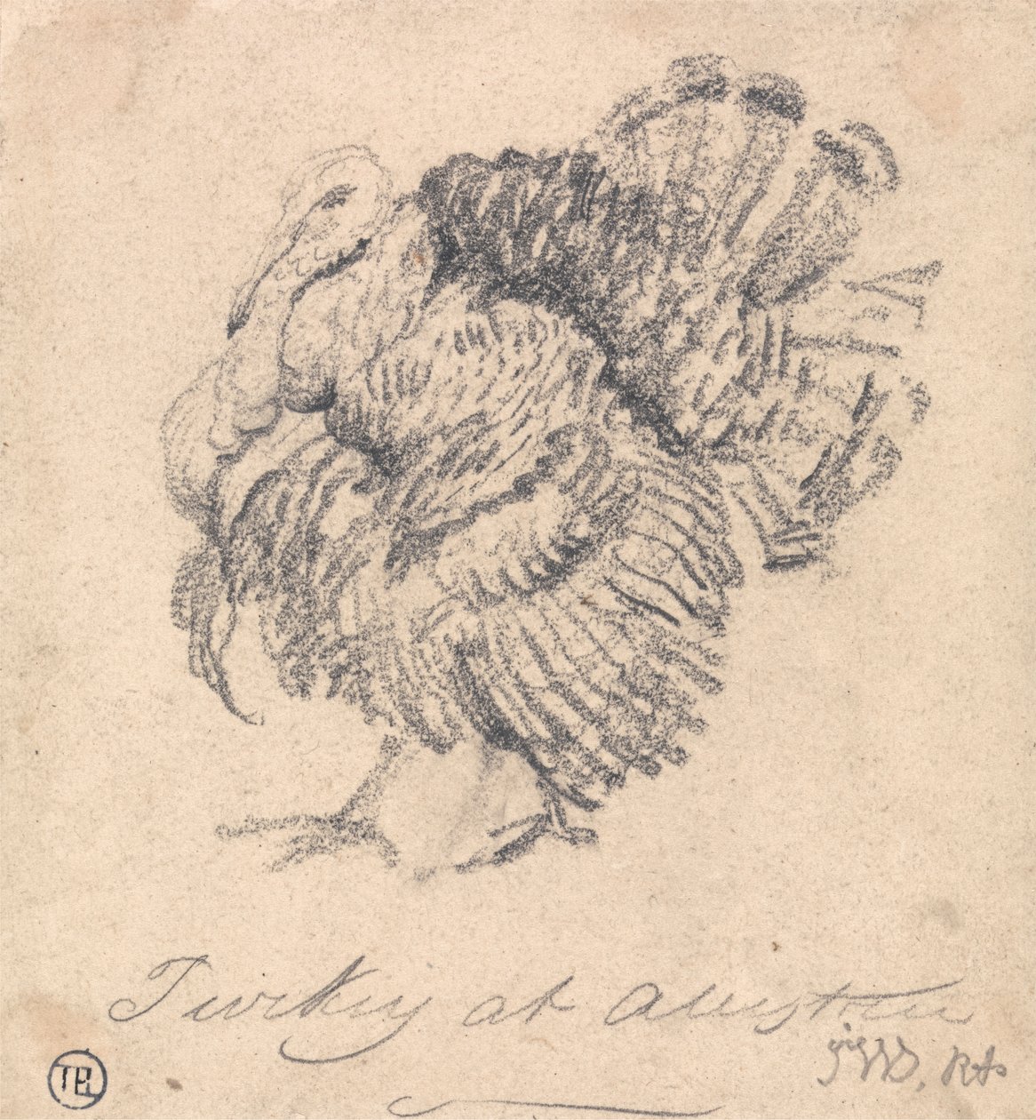 Studie eines Truthahns von James Ward
