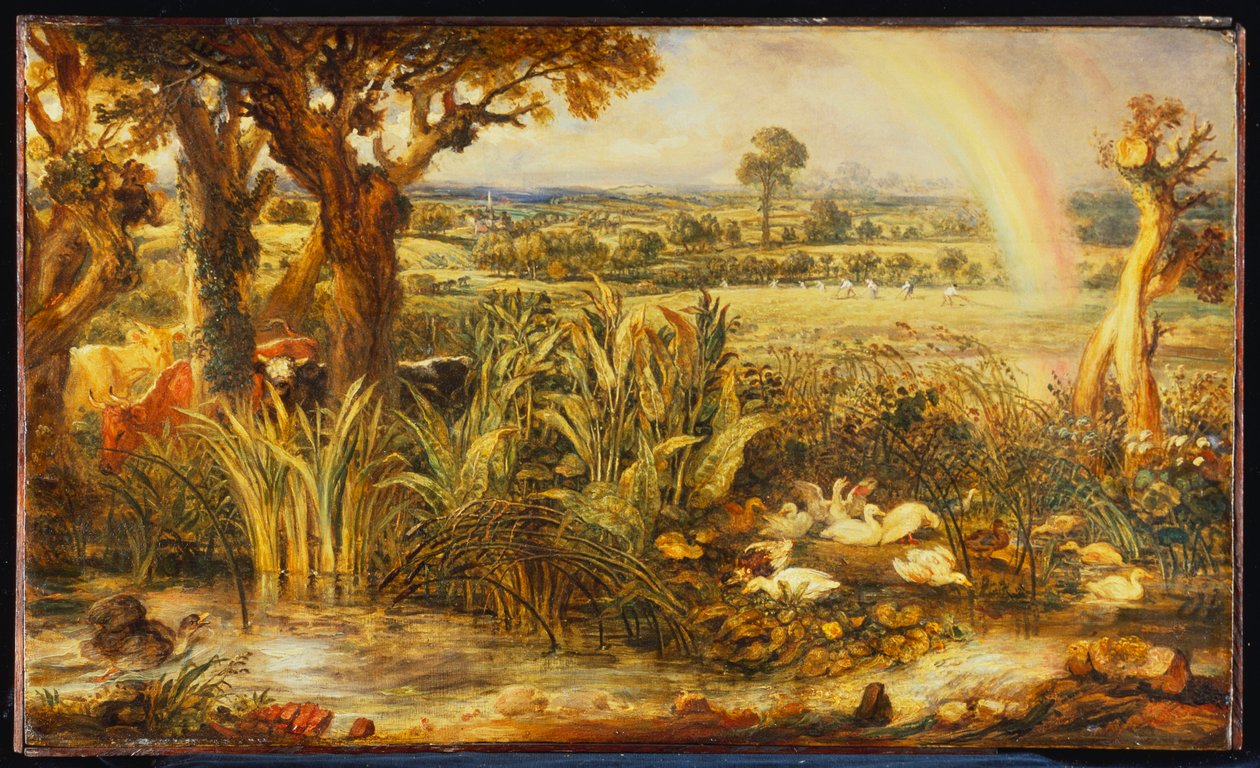 Der Regenbogen von James Ward