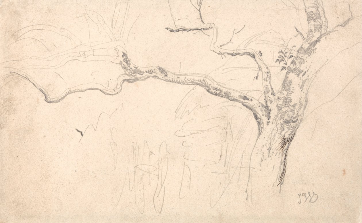 Baumstudie von James Ward