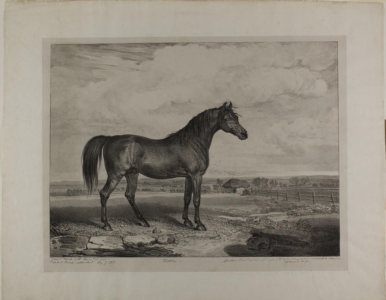 Walton von James Ward