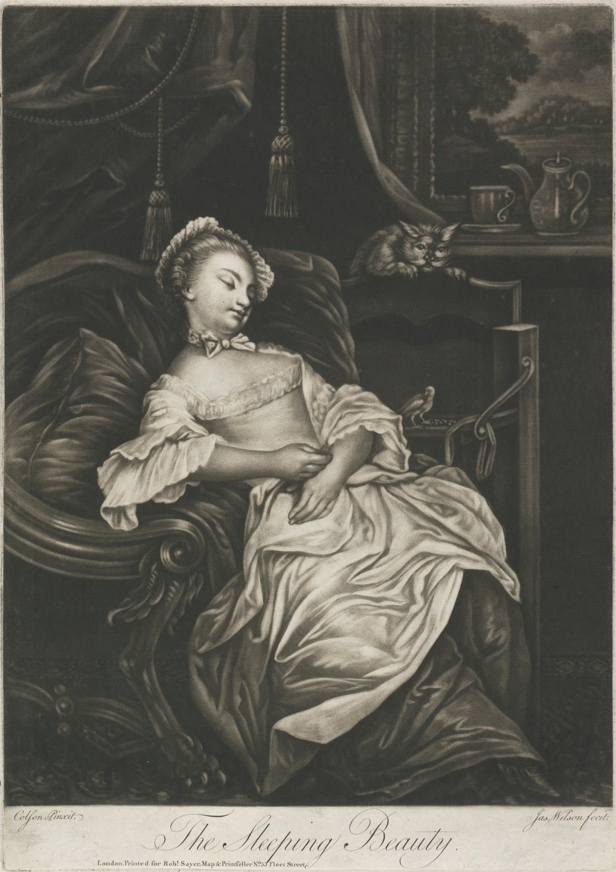 Dornröschen von James Wilson