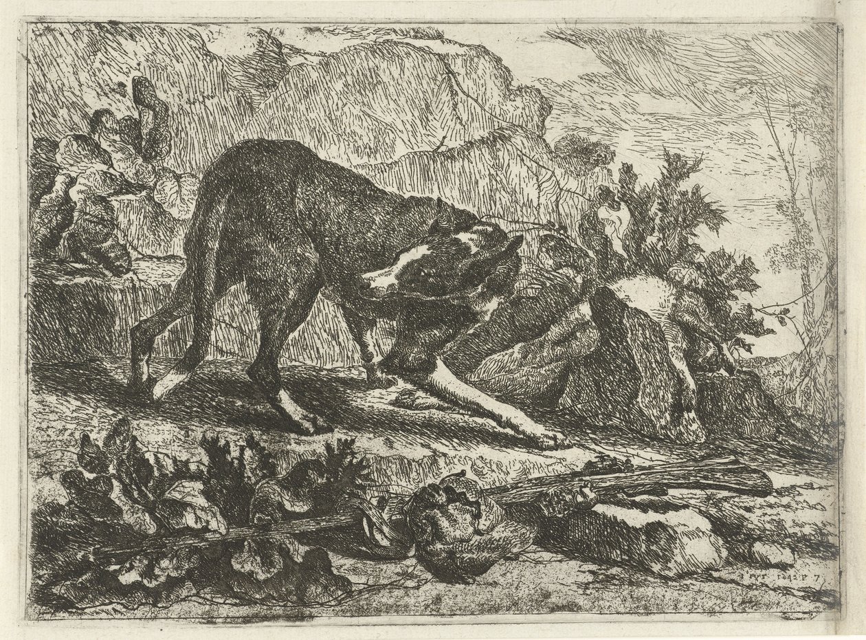 Ein Hund von Jan Fyt