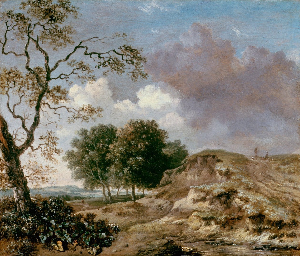 Landschaft von Jan Wijnants