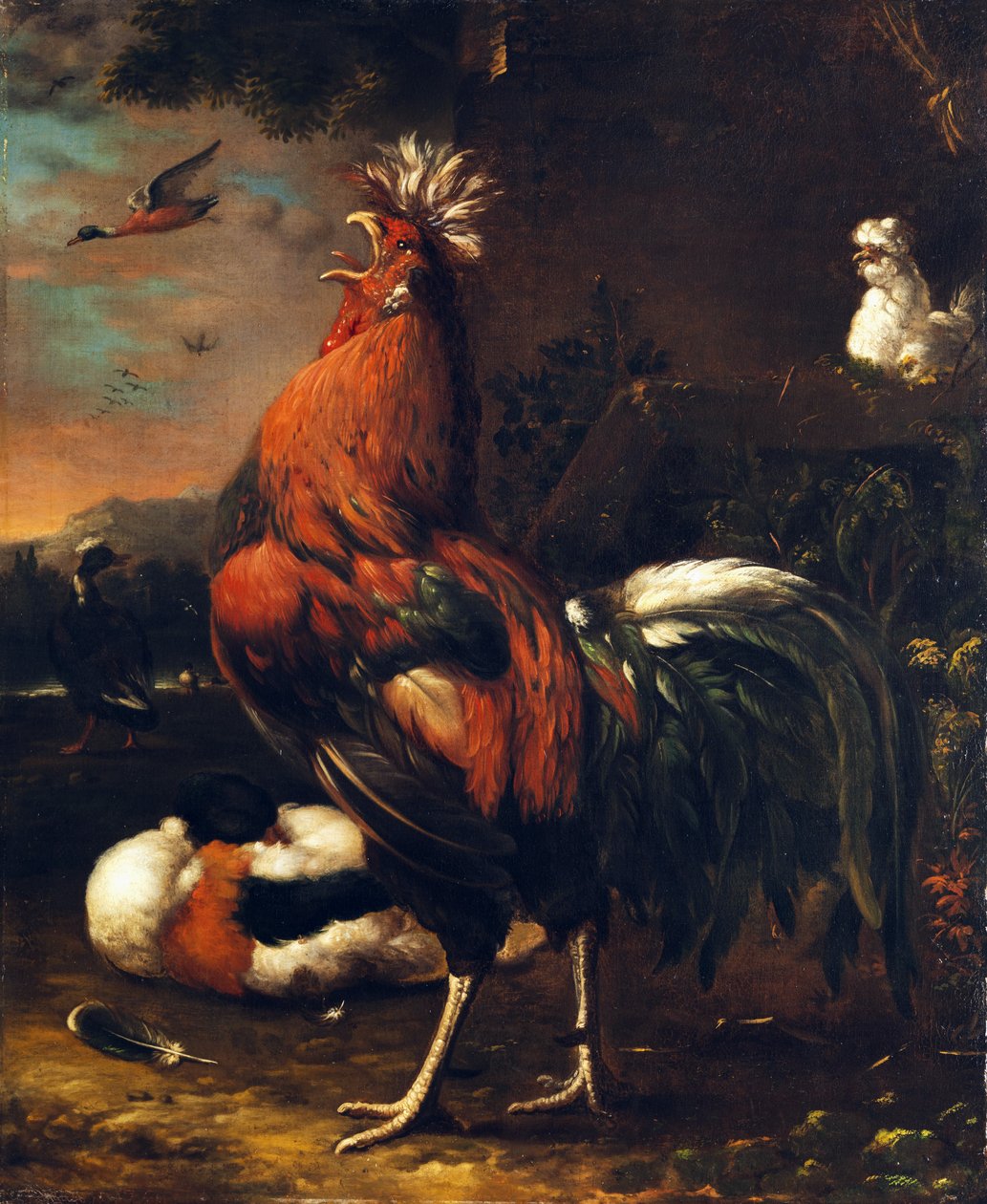 Stolzer Hahn von Jan van Oolen