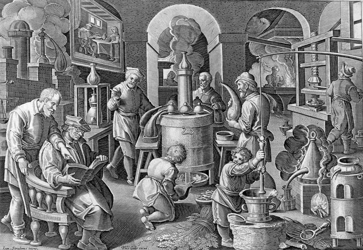 Distillato, Platte 7 aus 