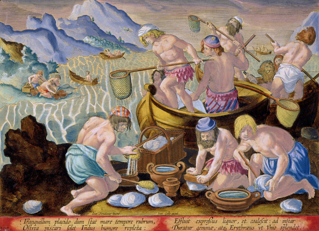 Einheimische fischen nach Riesenmuscheln am Indus, Tafel 102 aus 