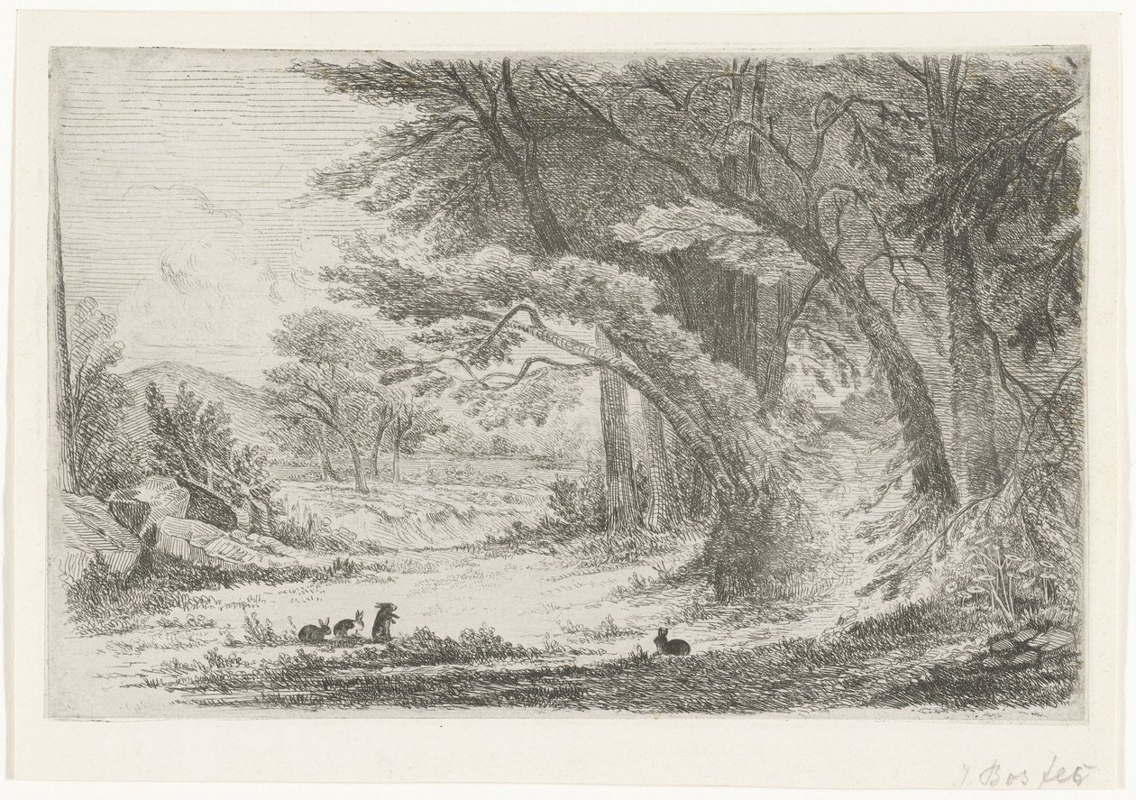 Waldrand mit Kaninchen von Jan Bos Wz. (signed by artist)