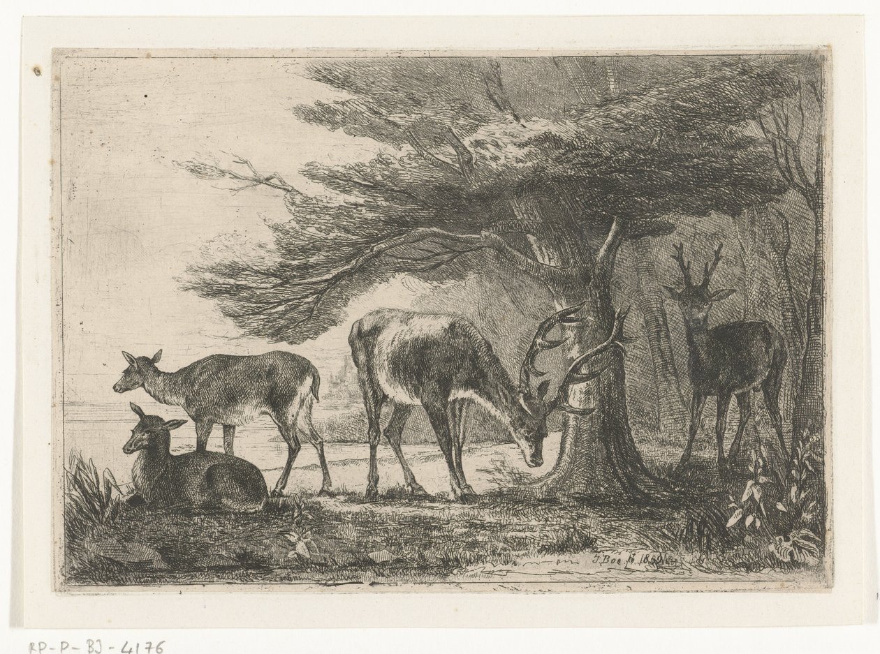 Waldrand mit Hirschen von Jan Bos Wz.