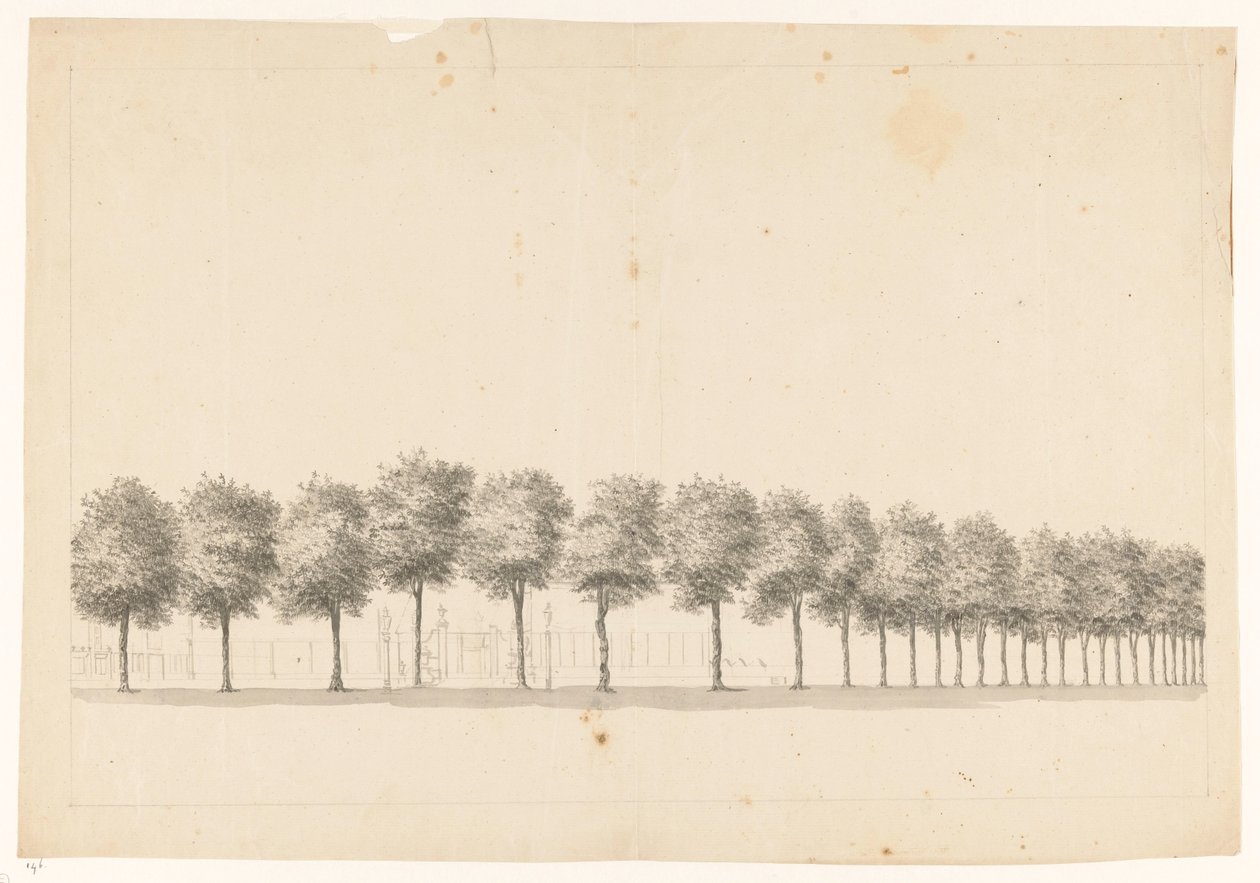Baumallee in Batavia von Jan Brandes