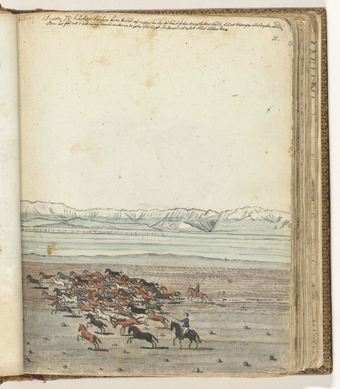 Pferdeherde von Jan Brandes