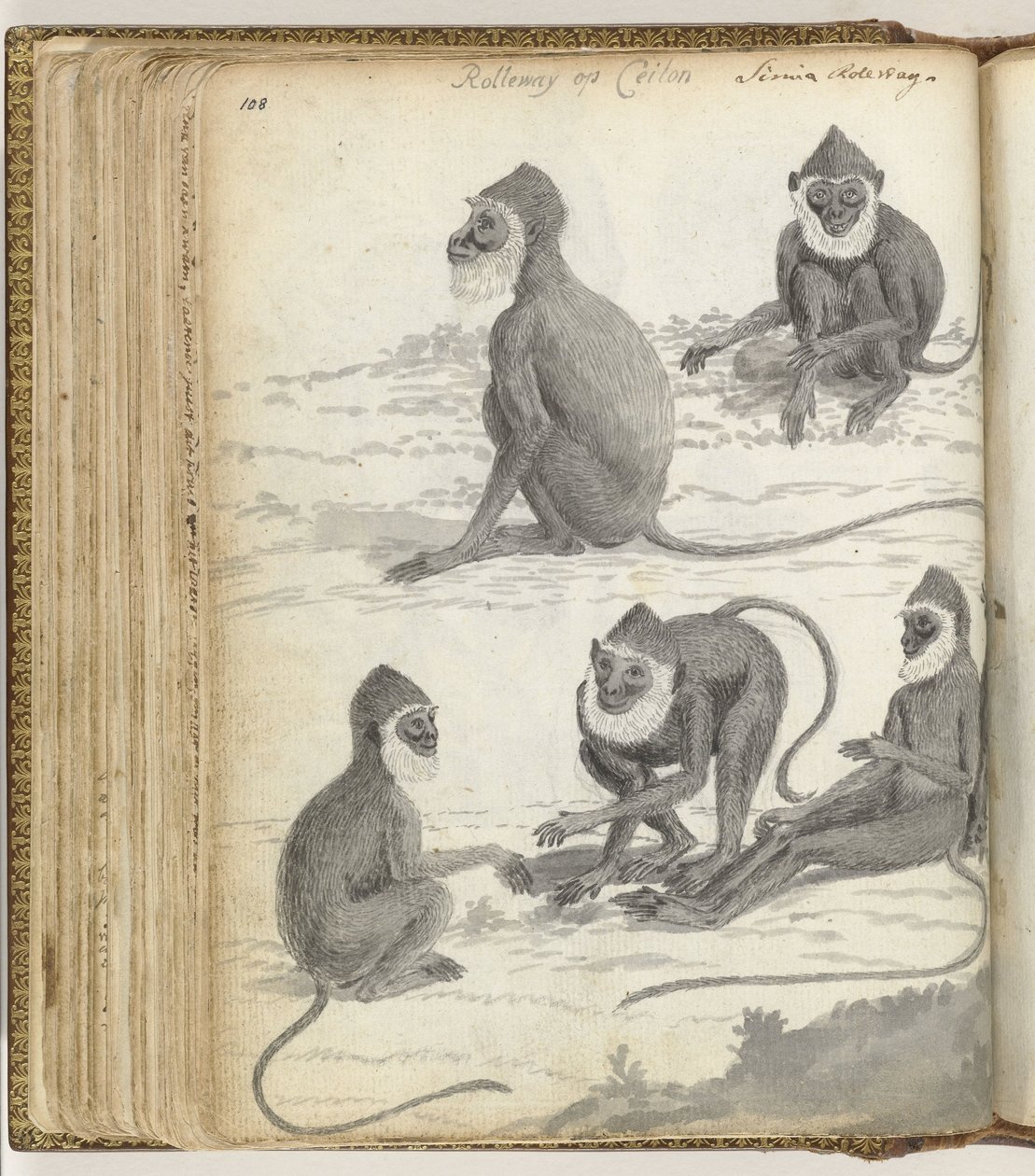 Rolleway auf Ceylon von Jan Brandes