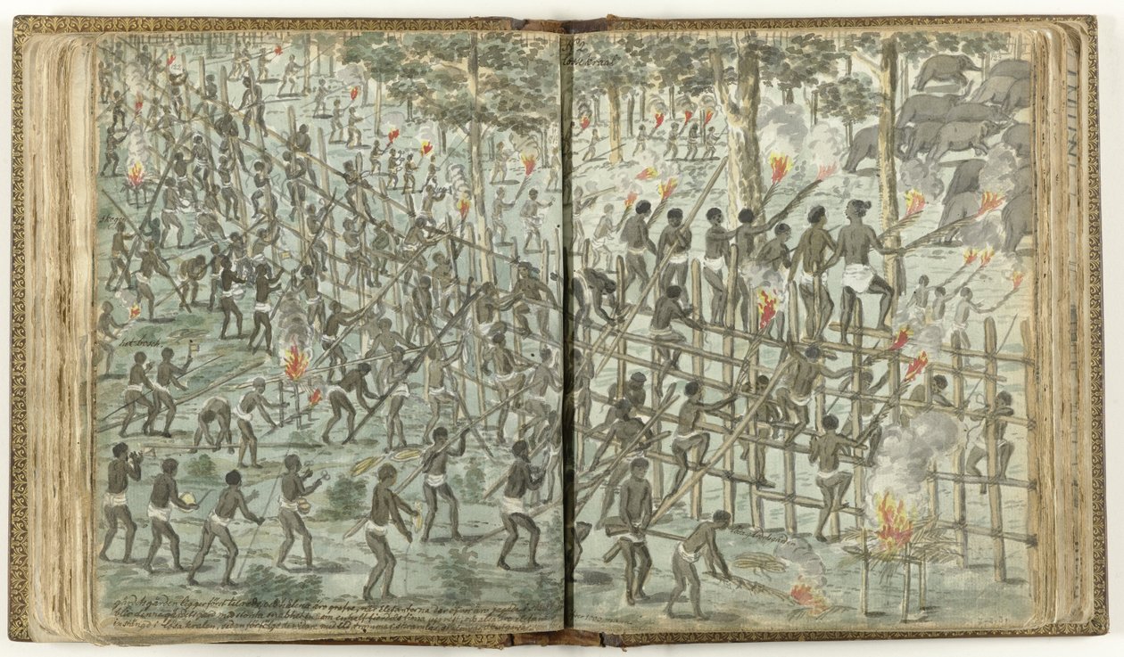 Der Elefantentrieb von Jan Brandes