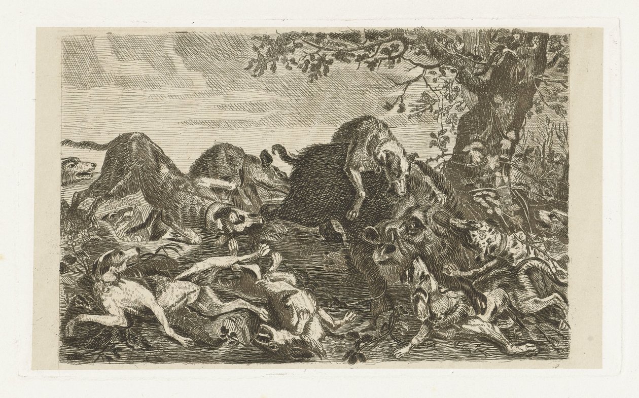 Hundejagd auf ein Wildschwein von Jan Cassiers