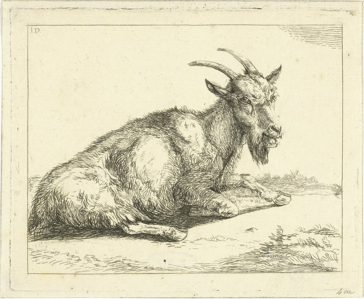 Ziege von Jan Dasveldt