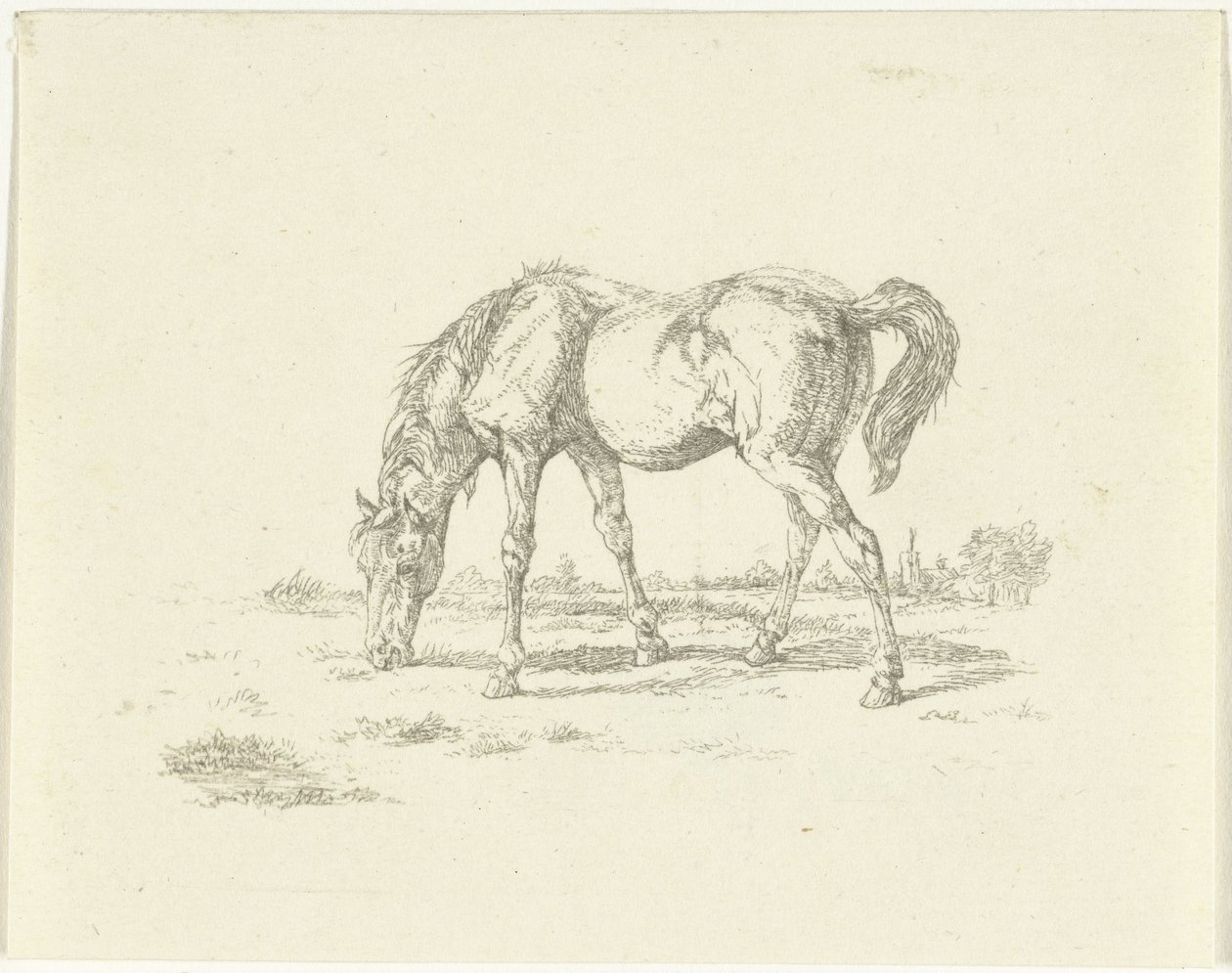 Weidendes Pferd nach rechts von Jan Dasveldt