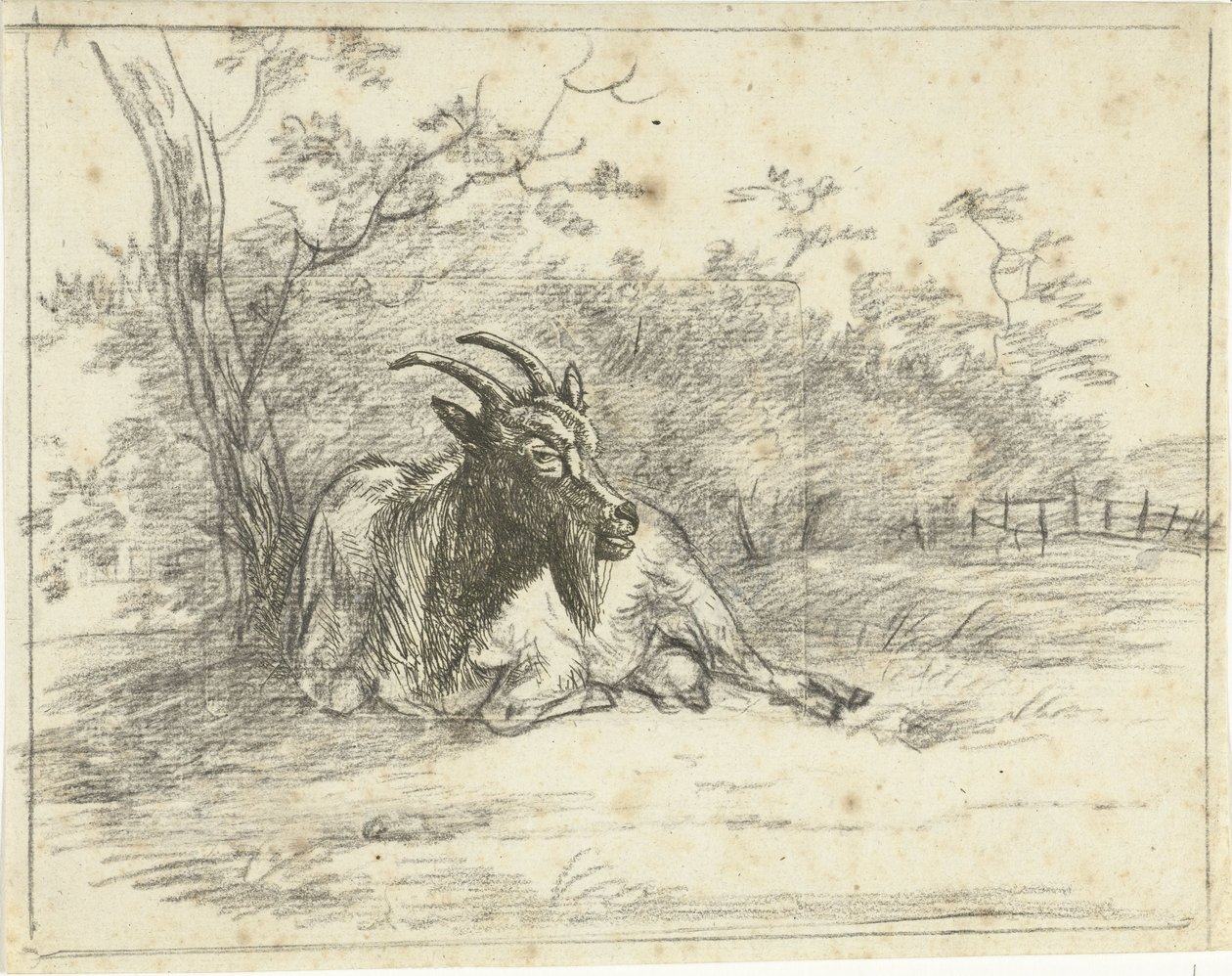 Liegende Ziege von Jan Dasveldt