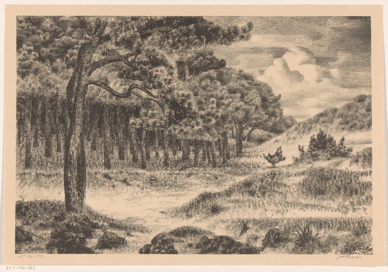 Wald in einer Hügellandschaft von Jan Fekkes (signed by artist)