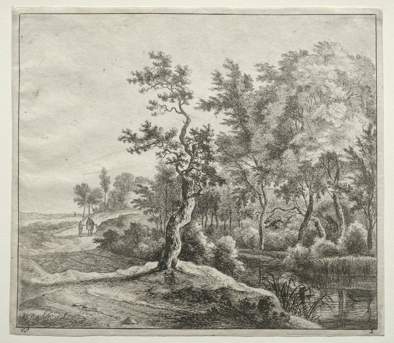 Die Serpentinenstraße von Jan Hackaert