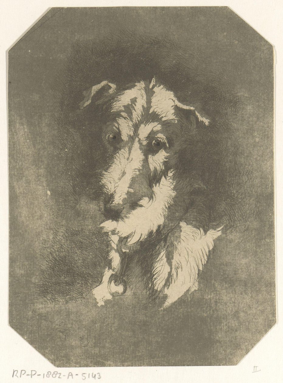 Kopf eines Windhundes von Jan Karel Jacob de Jonge