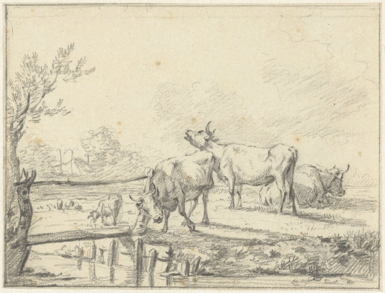 Kühe auf einer Wiese von Jan Kobell (II)
