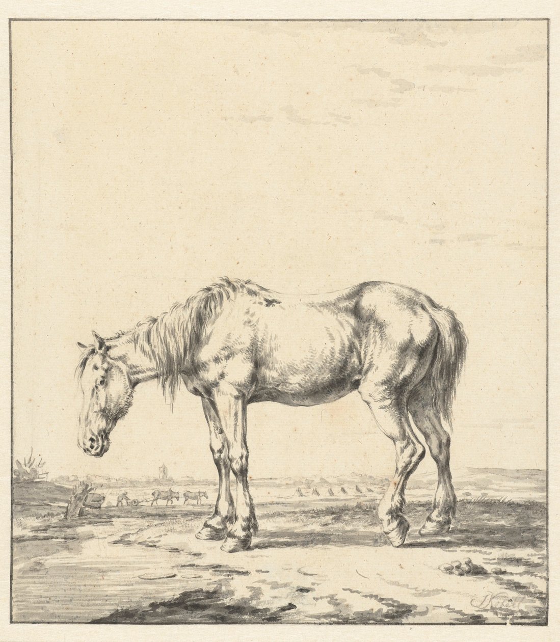 Altes Pferd steht am Wasser von Jan Kobell (II)