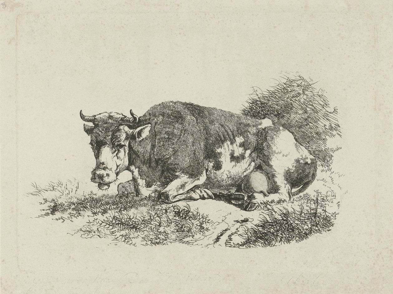 Liegende Kuh von Jan Kobell (III)