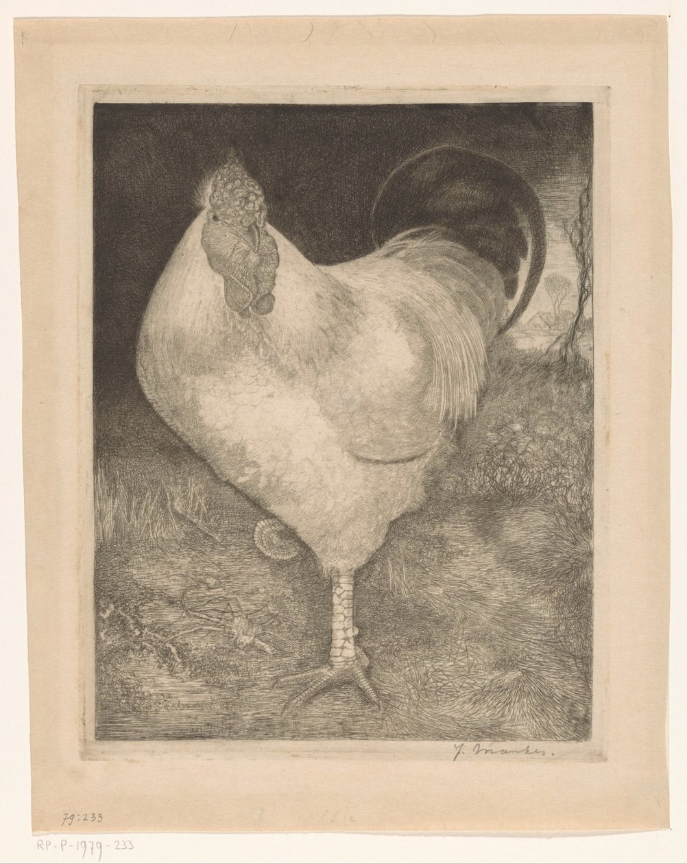 Hahn auf einem Bein von Jan Mankes (signed by artist)