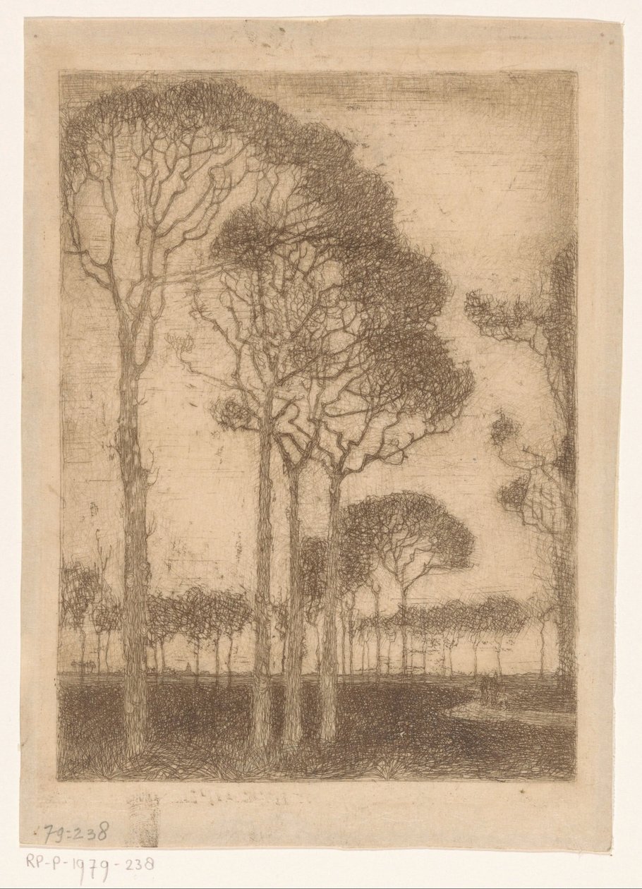 Bäume am Rand des Oranjewoud von Jan Mankes