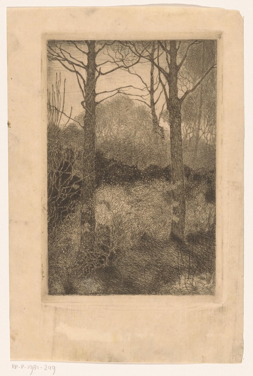 Waldrand von Jan Mankes