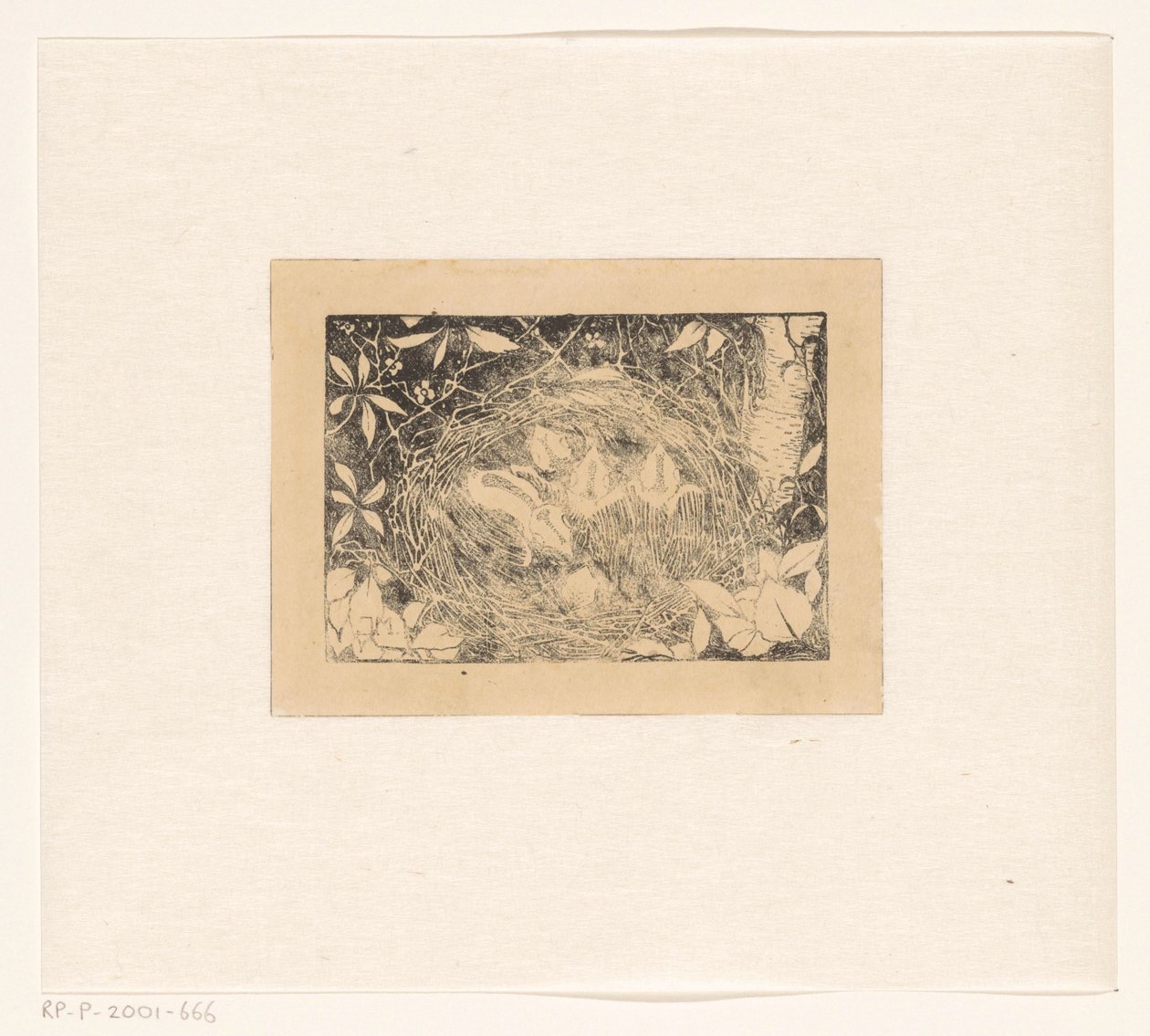 Vogelnest von Jan Mankes