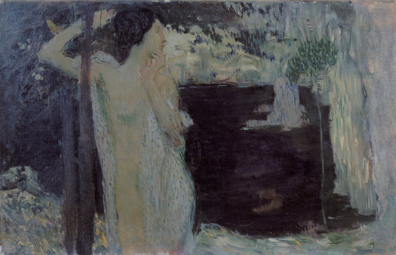 Frau am Schwarzen See, 1904 von Jan Preisler