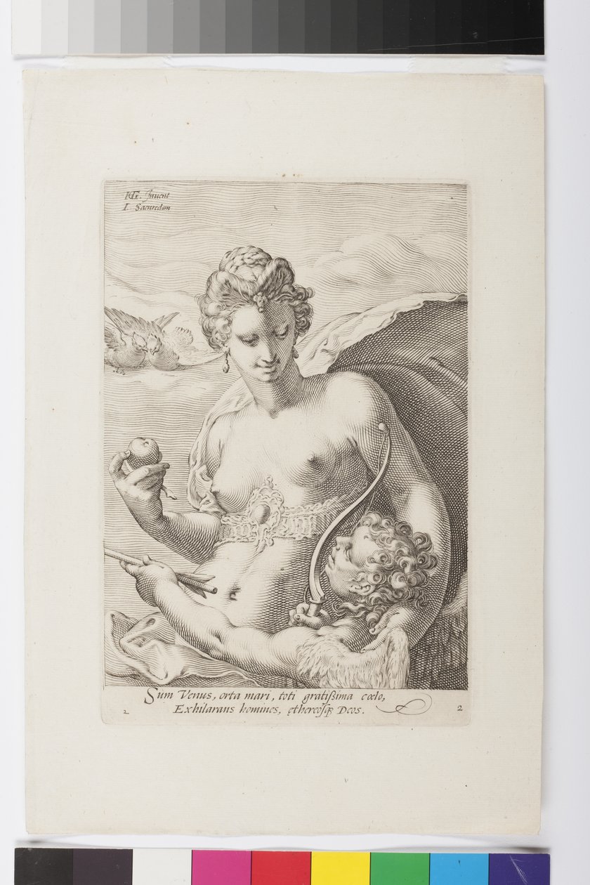 Venus (Gravur) von Jan Saenredam