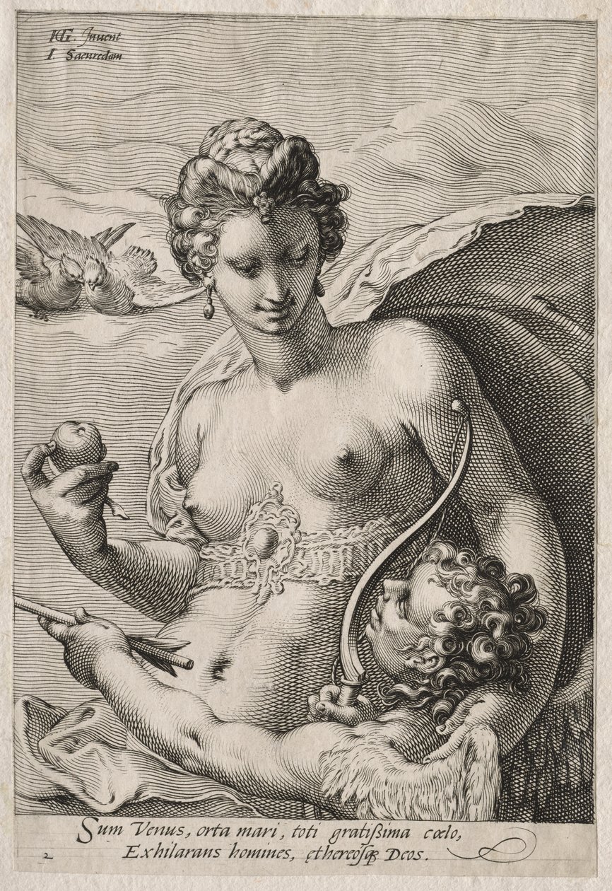 Venus und Amor von Jan Saenredam