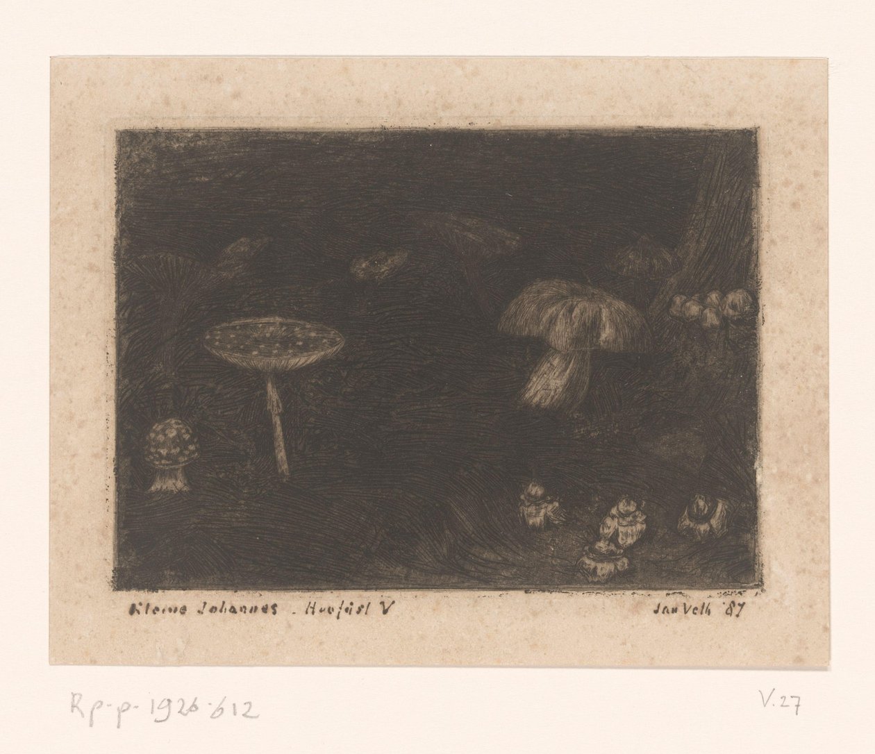 Pilze von Jan Veth (signed by artist)