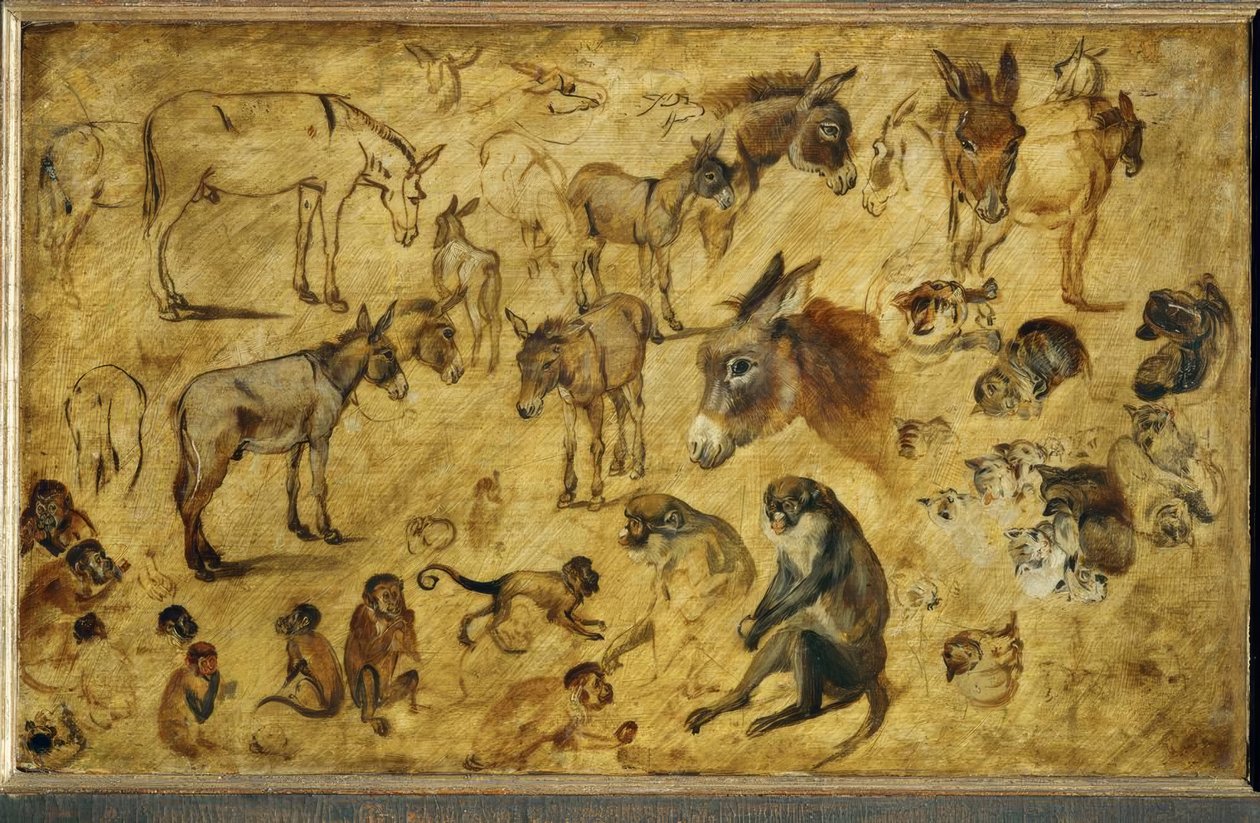 Tierstudien von Jan the Elder Brueghel