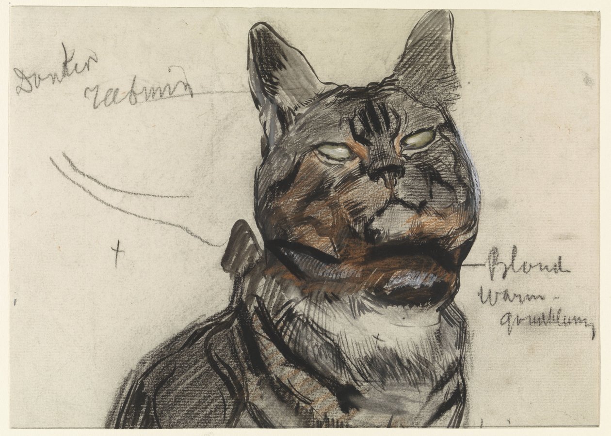 Katze, mit Farbanmerkungen von Jan van Essen